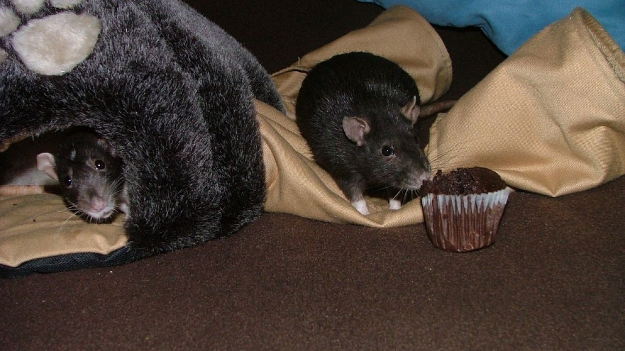 DSCF5544.JPG