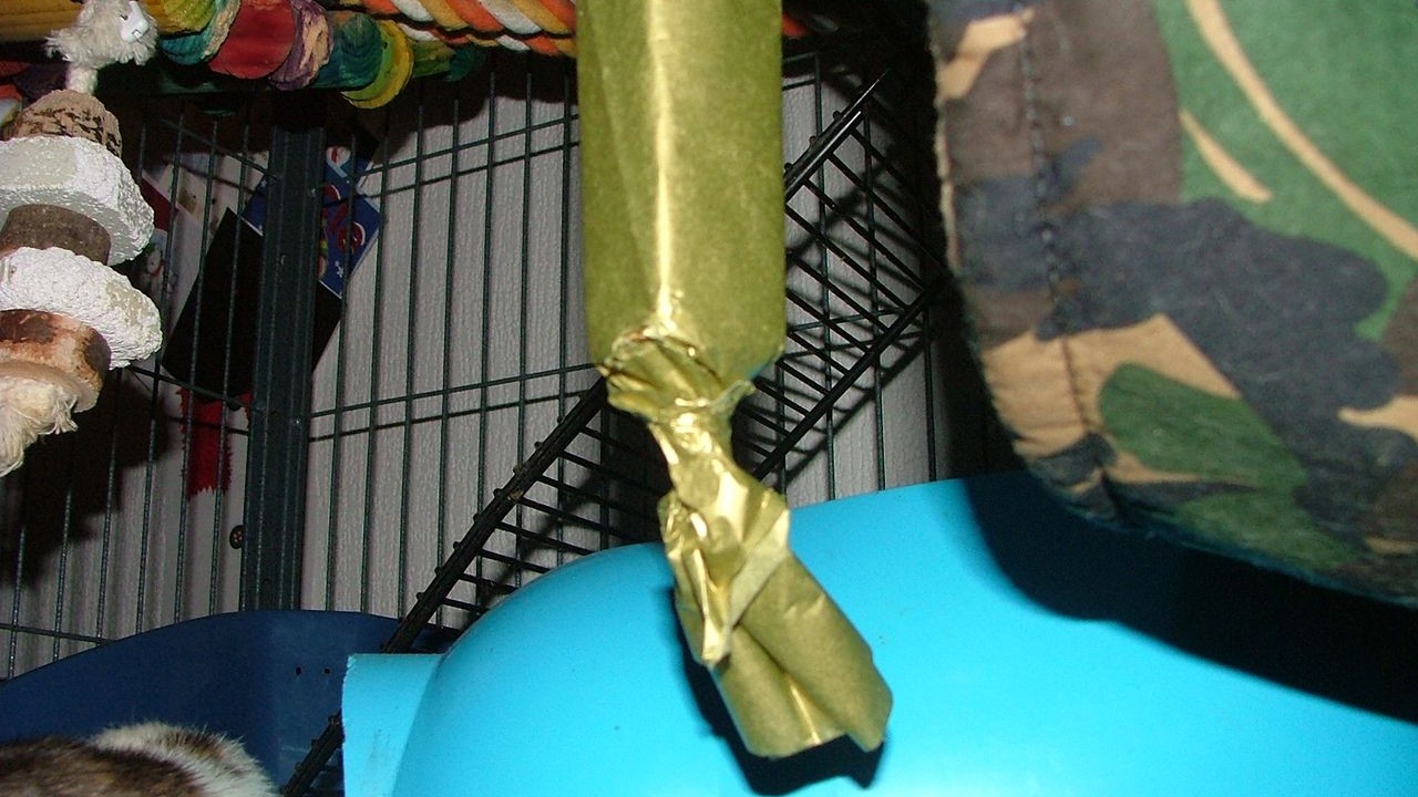 DSCF6737.JPG