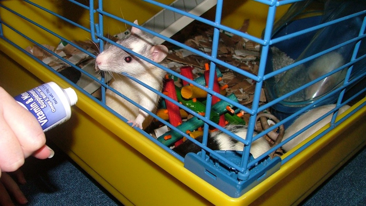 DSCF3756.JPG