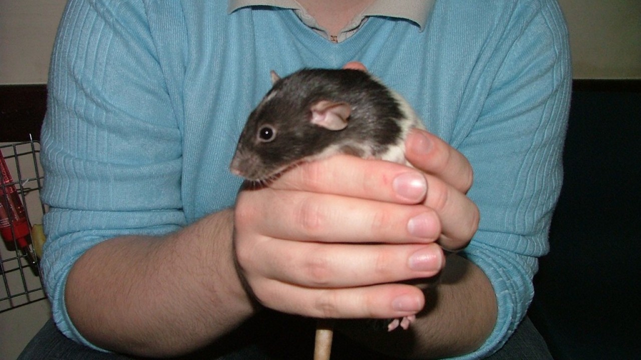 DSCF4038.JPG