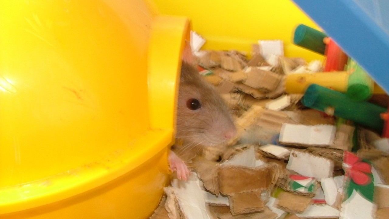 DSCF4026.JPG