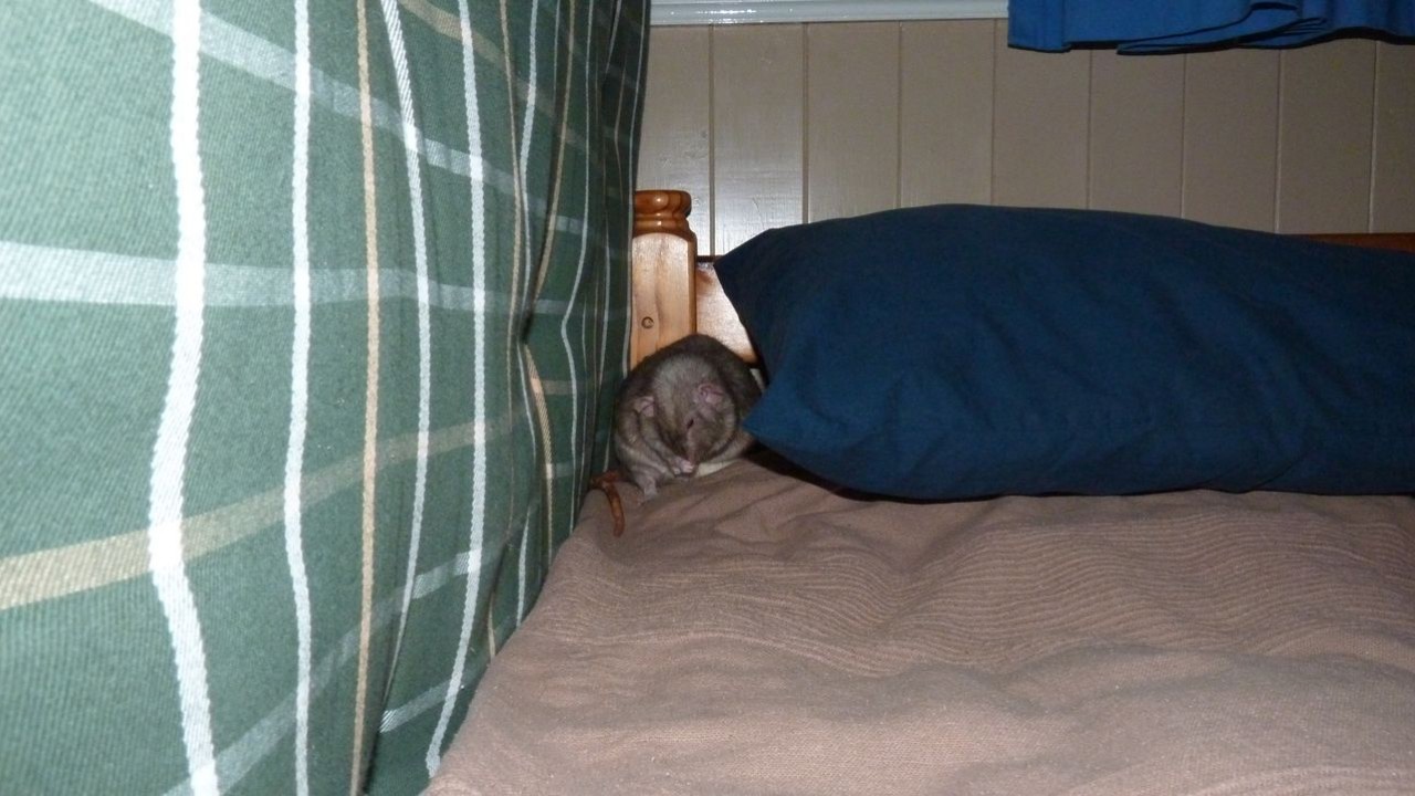 P1000382.JPG