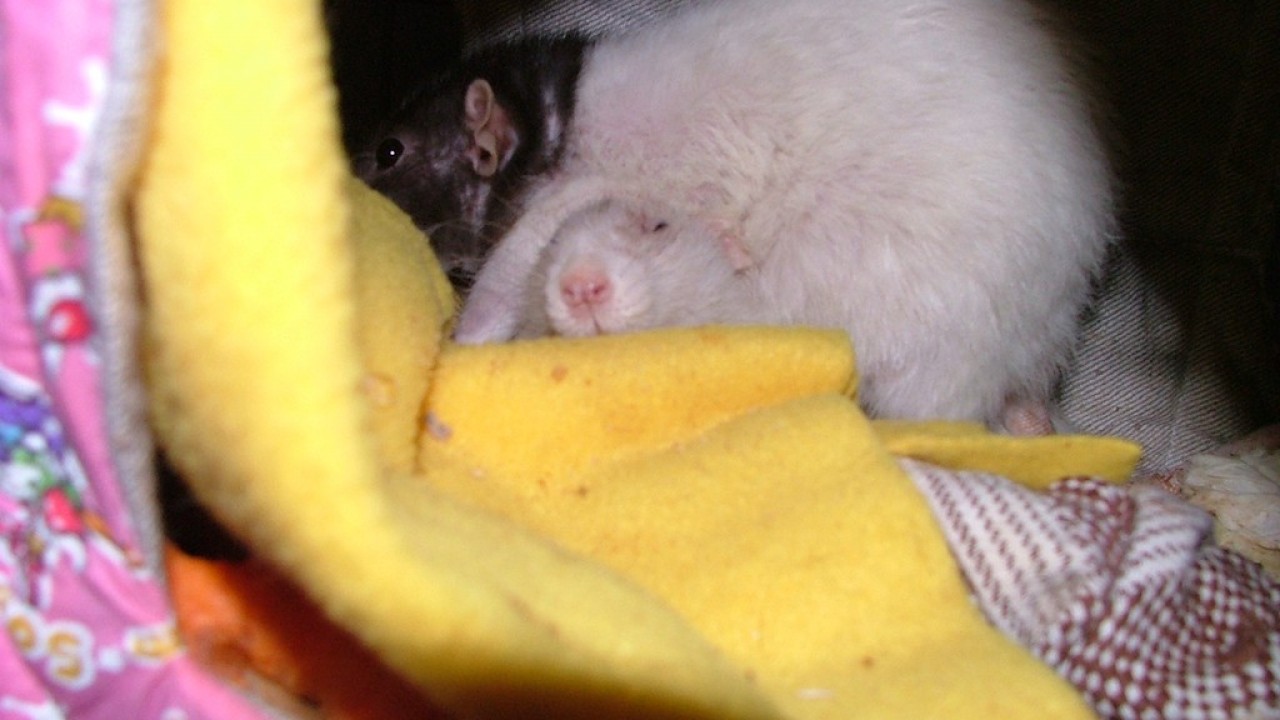 dscf6047.jpg