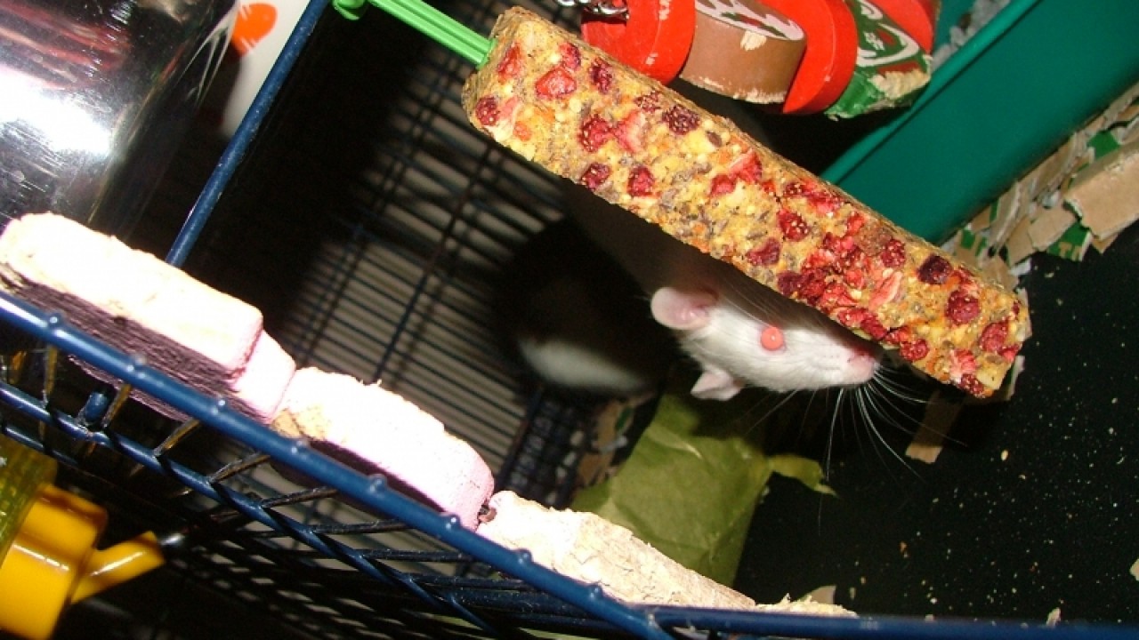 dscf6747.jpg
