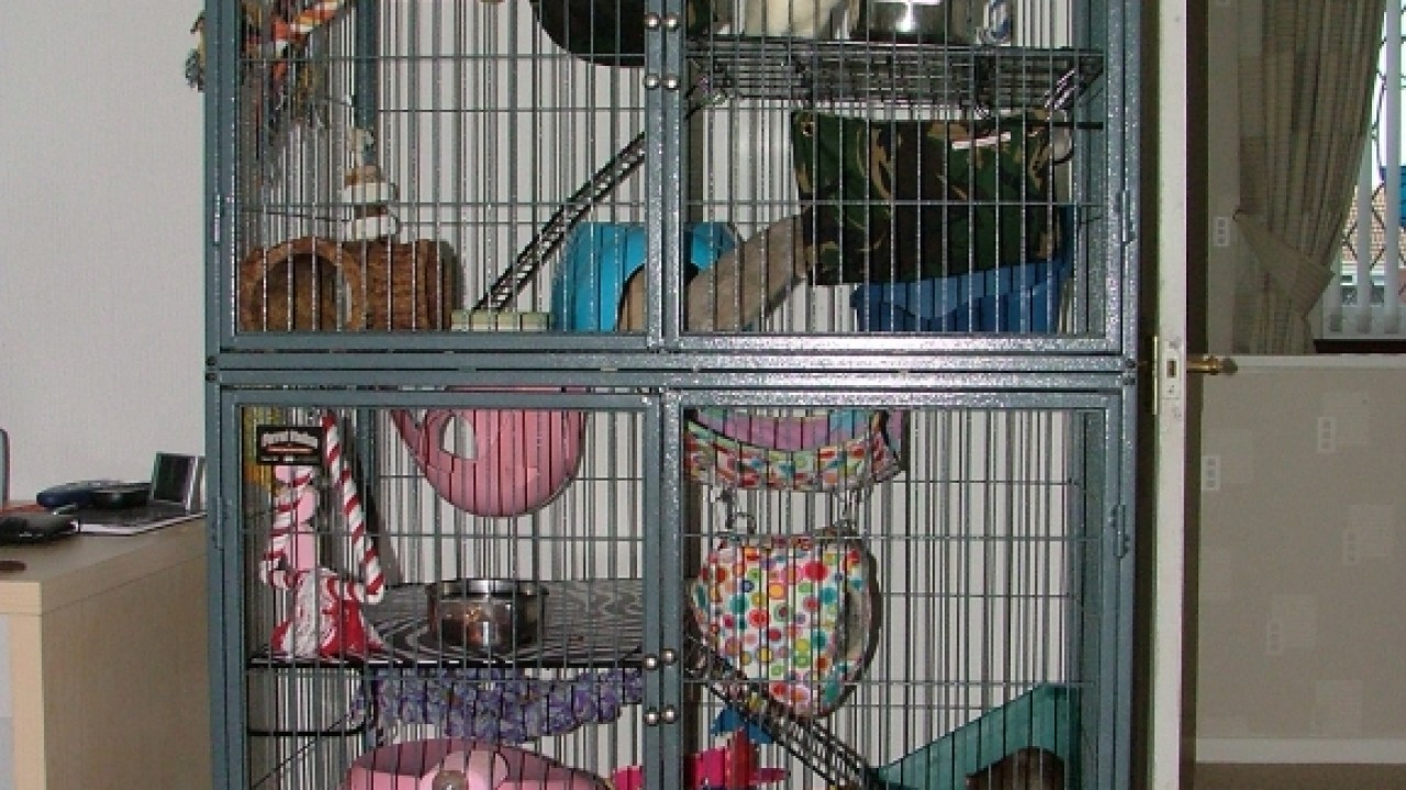 dscf6320.jpg