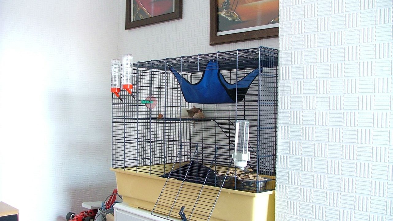 DSCF2146.JPG