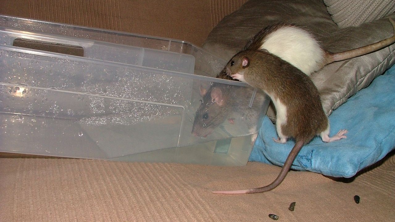 DSCF6661.JPG