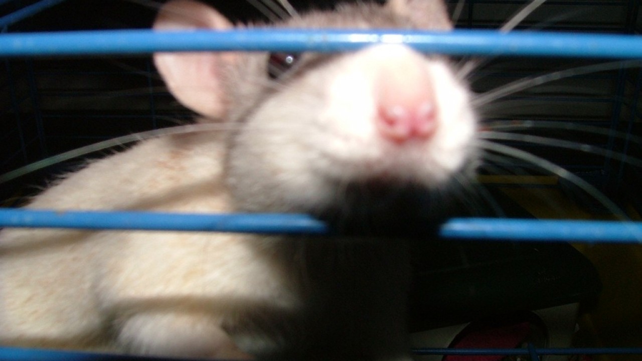 DSCF3876.JPG