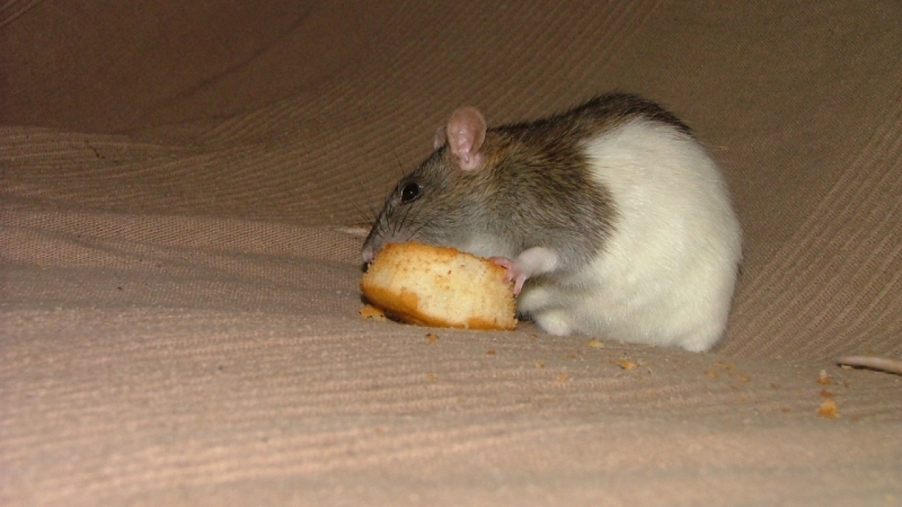 dscf6922.jpg