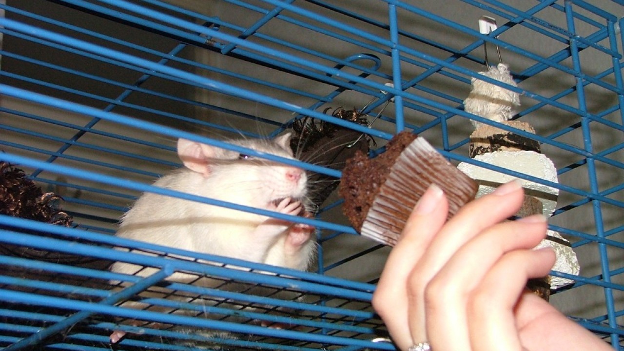 DSCF4277.JPG