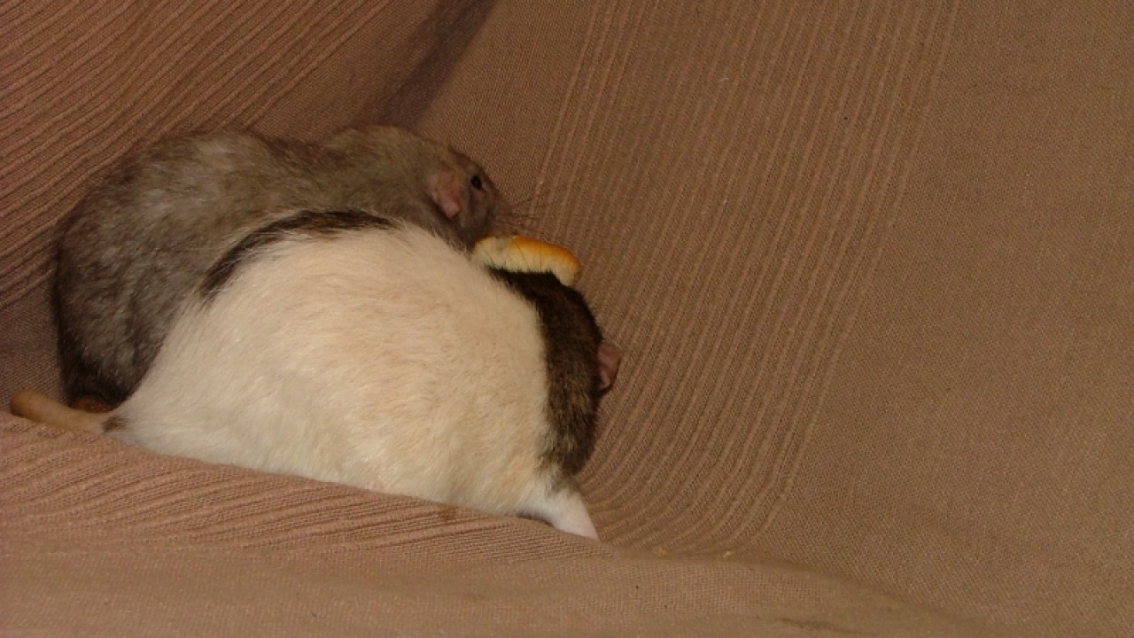 dscf6888.jpg