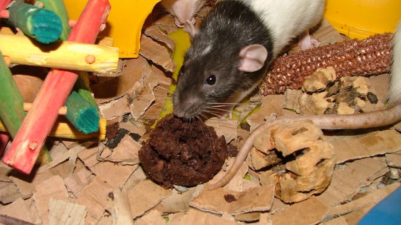 DSCF4267.JPG