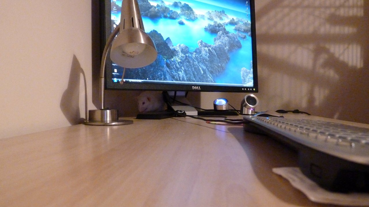 p1000892.jpg