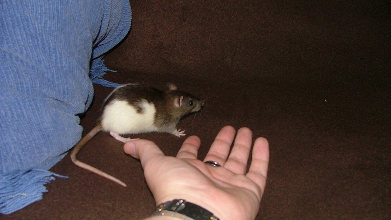 DSCF5474.JPG