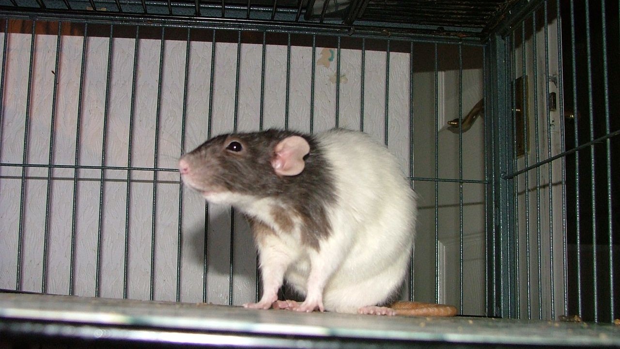 DSCF5663.JPG