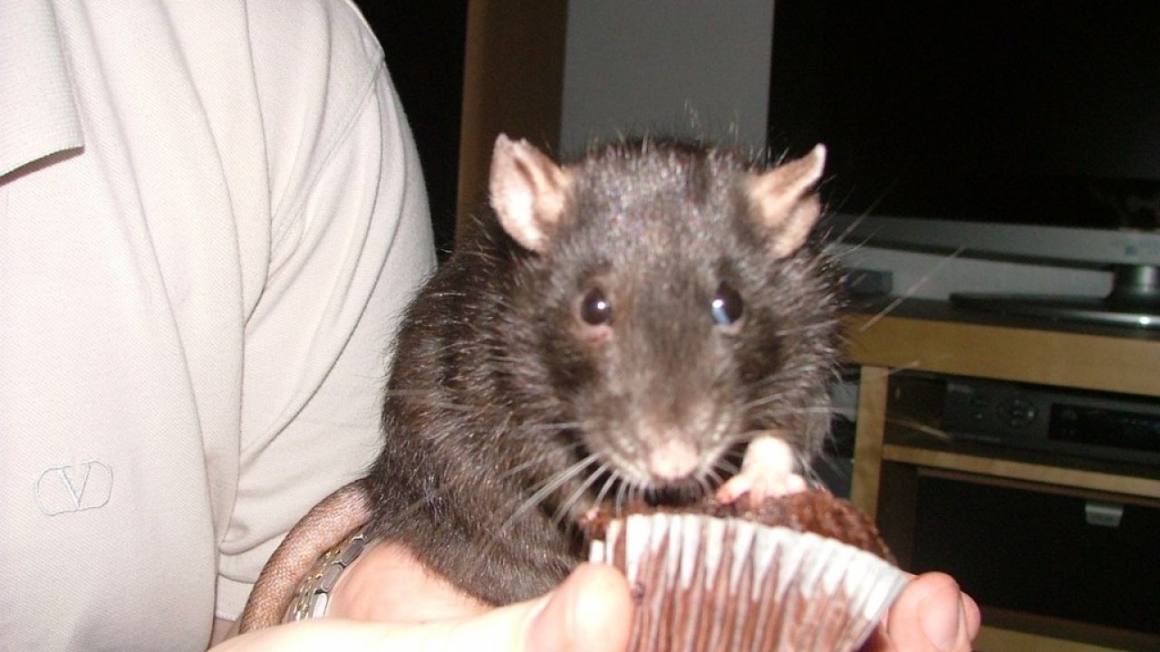 DSCF5560.JPG
