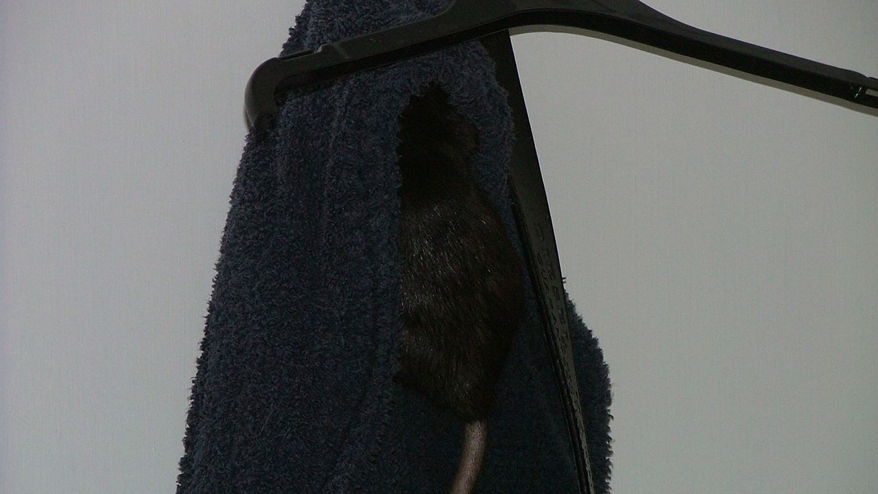 DSCF3957.JPG