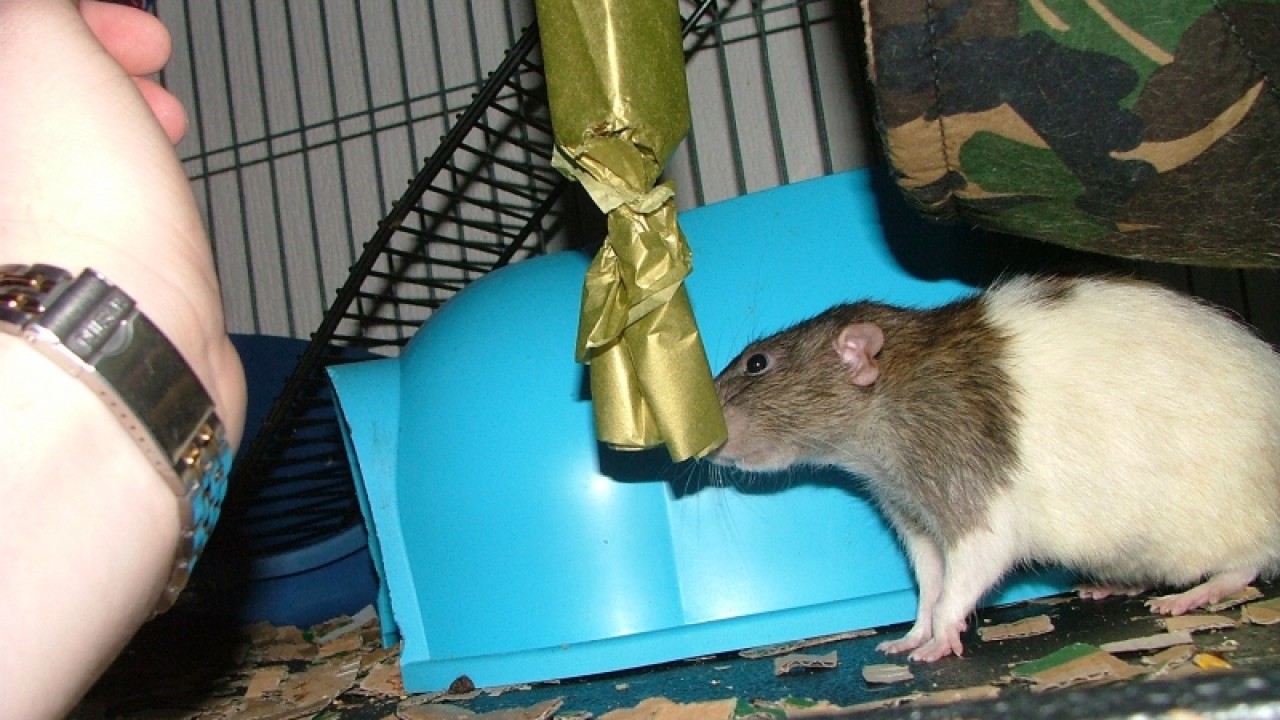 dscf6738.jpg