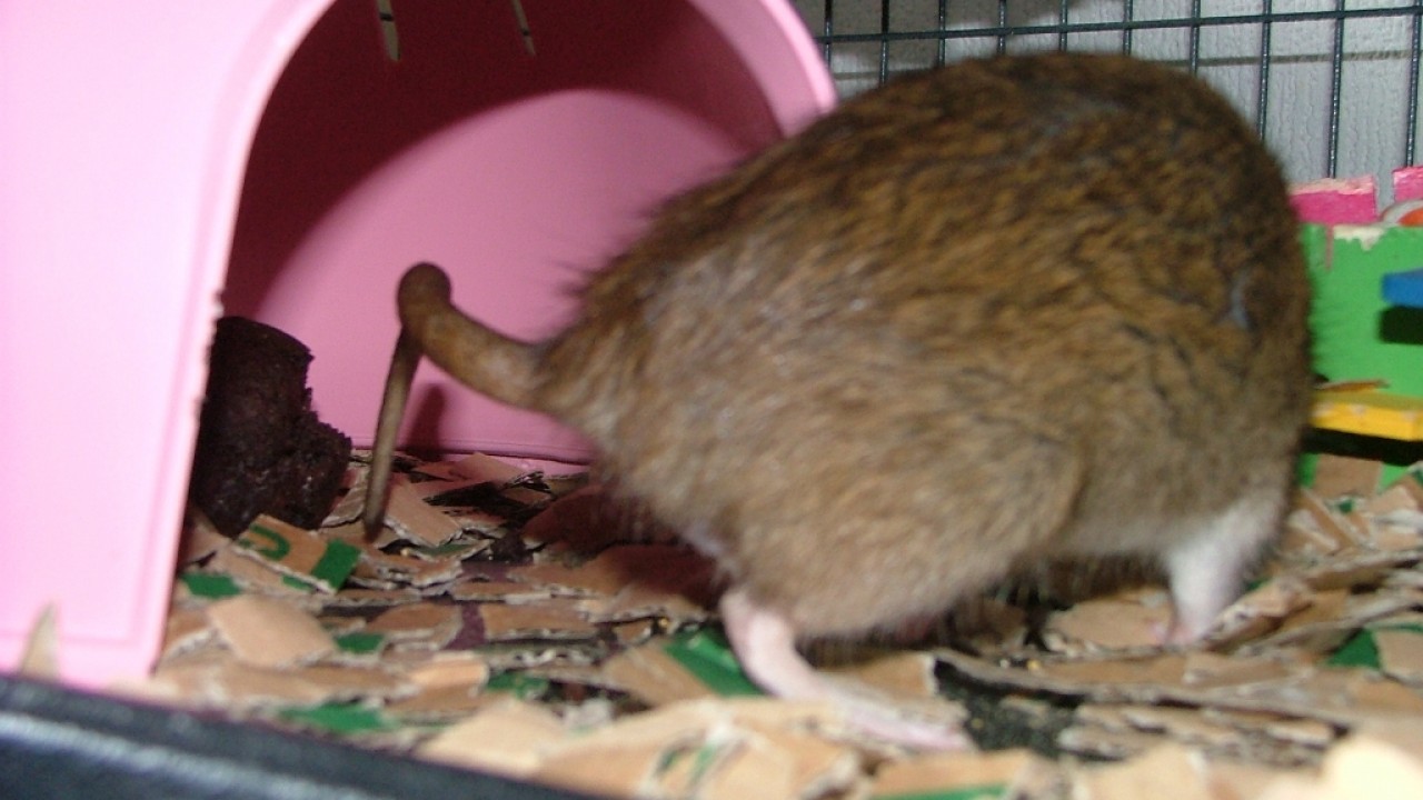 dscf6351.jpg