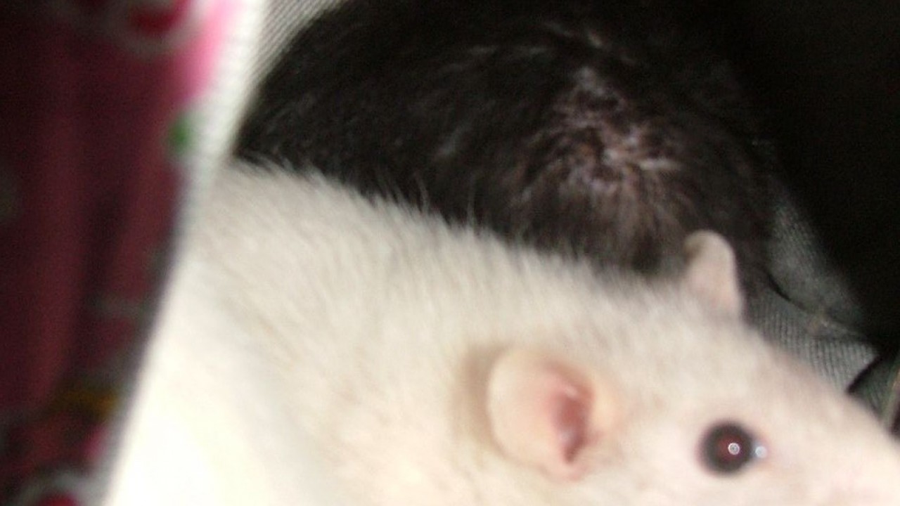 DSCF5659.JPG