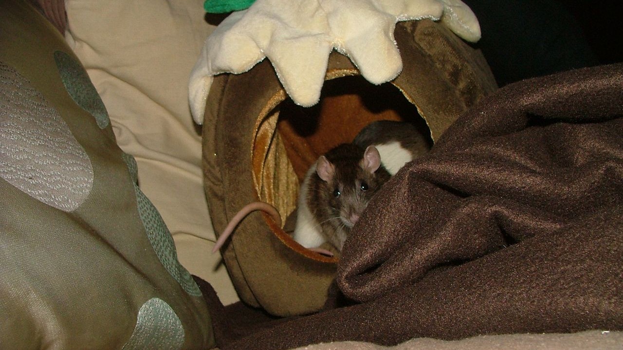 DSCF6766.JPG