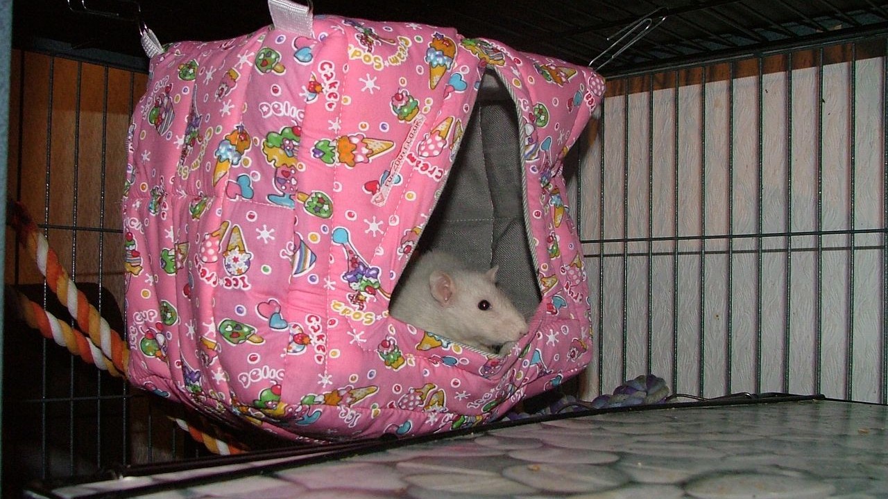 DSCF5647.JPG
