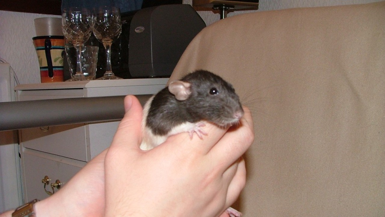 DSCF4298.JPG