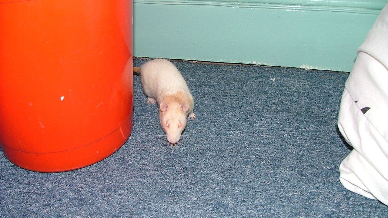 DSCF2657.JPG