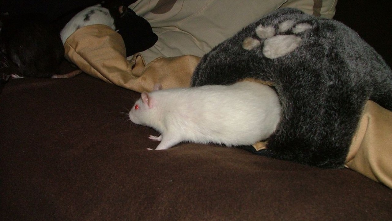 DSCF5554.JPG