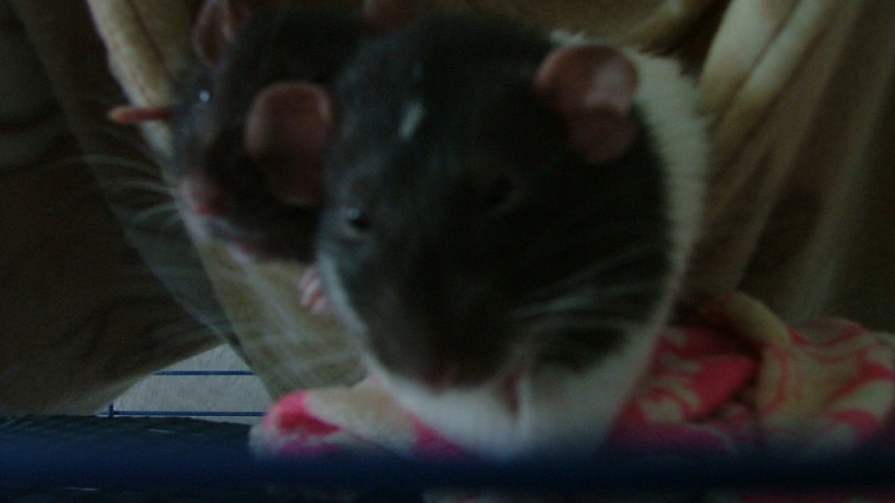 DSCF4021.JPG