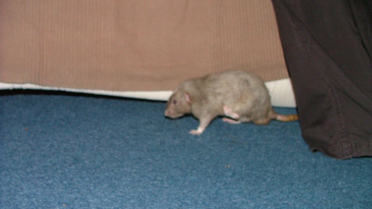 DSCF6679.JPG