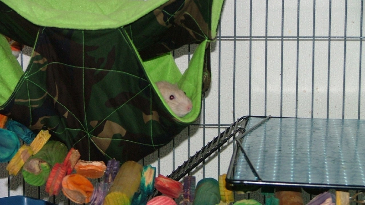 dscf6864.jpg
