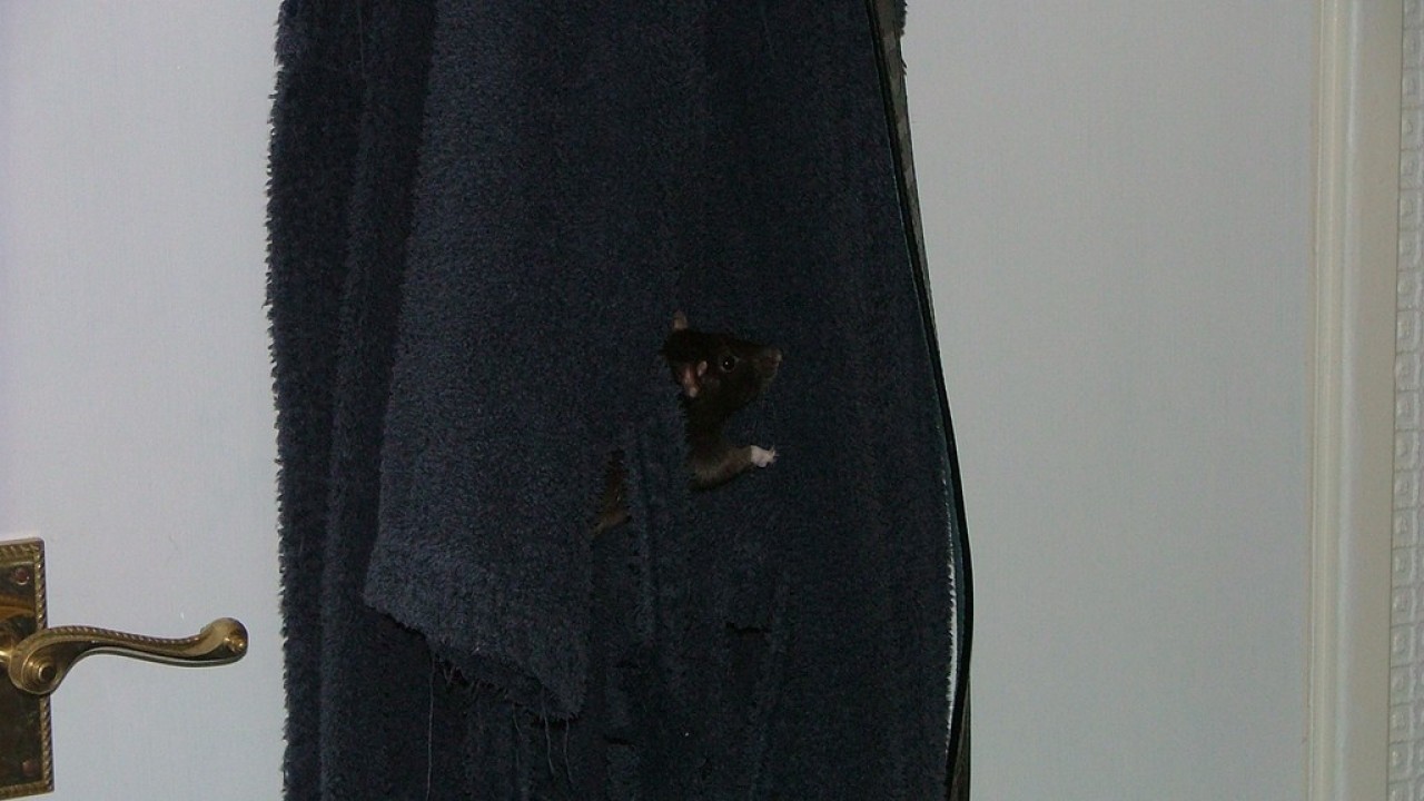 DSCF3956.JPG