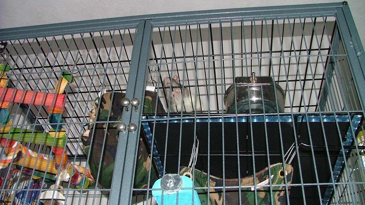 DSCF6698.JPG