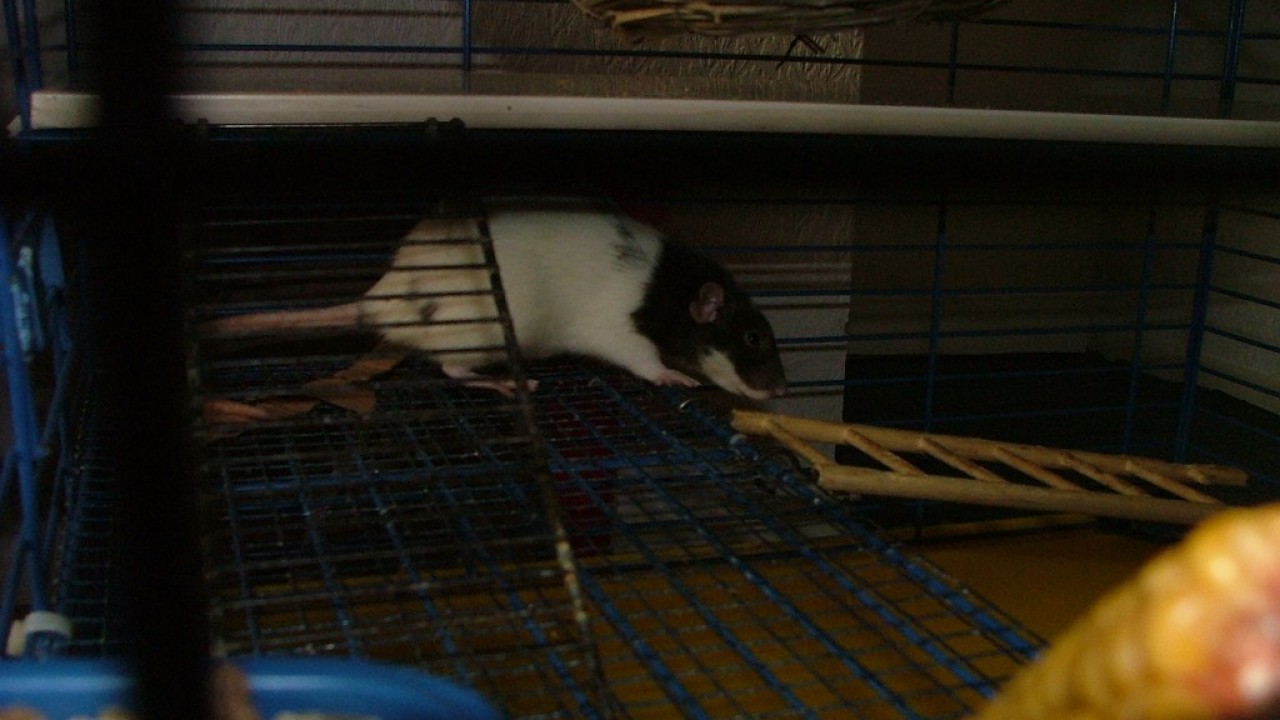 DSCF4264.JPG