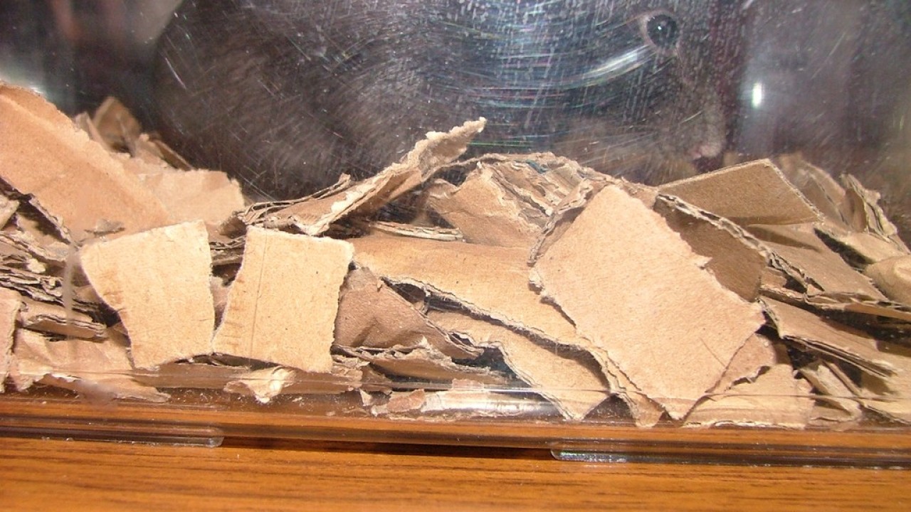 DSCF4186.JPG