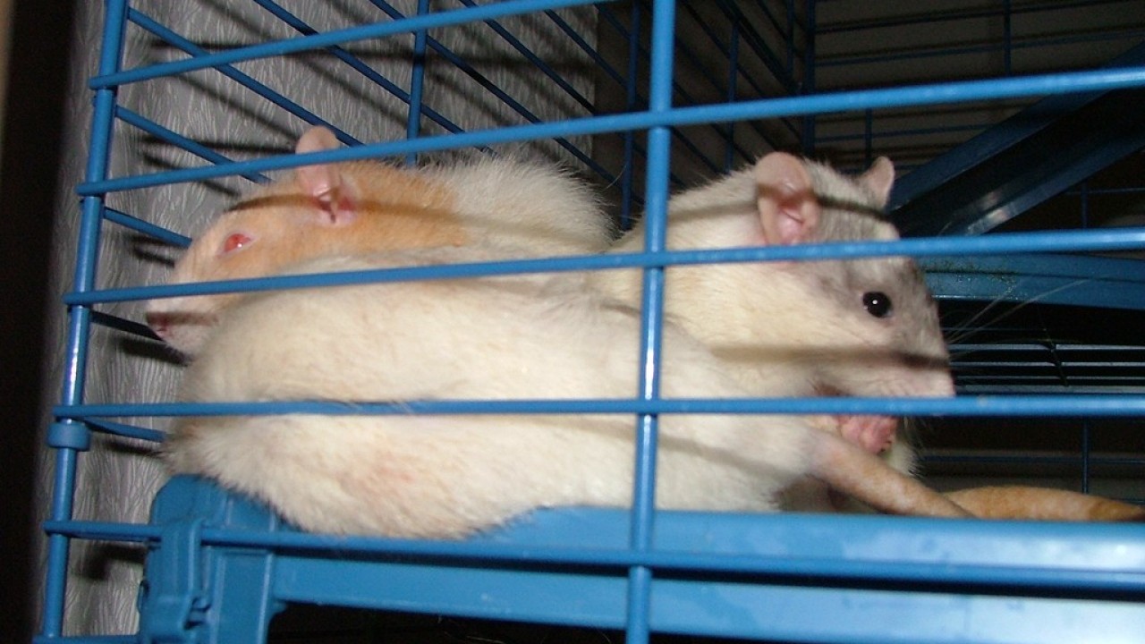 DSCF3774.JPG