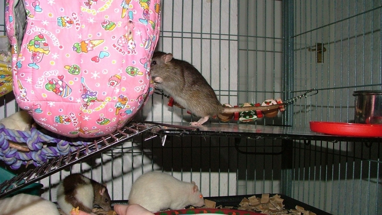 dscf5819.jpg