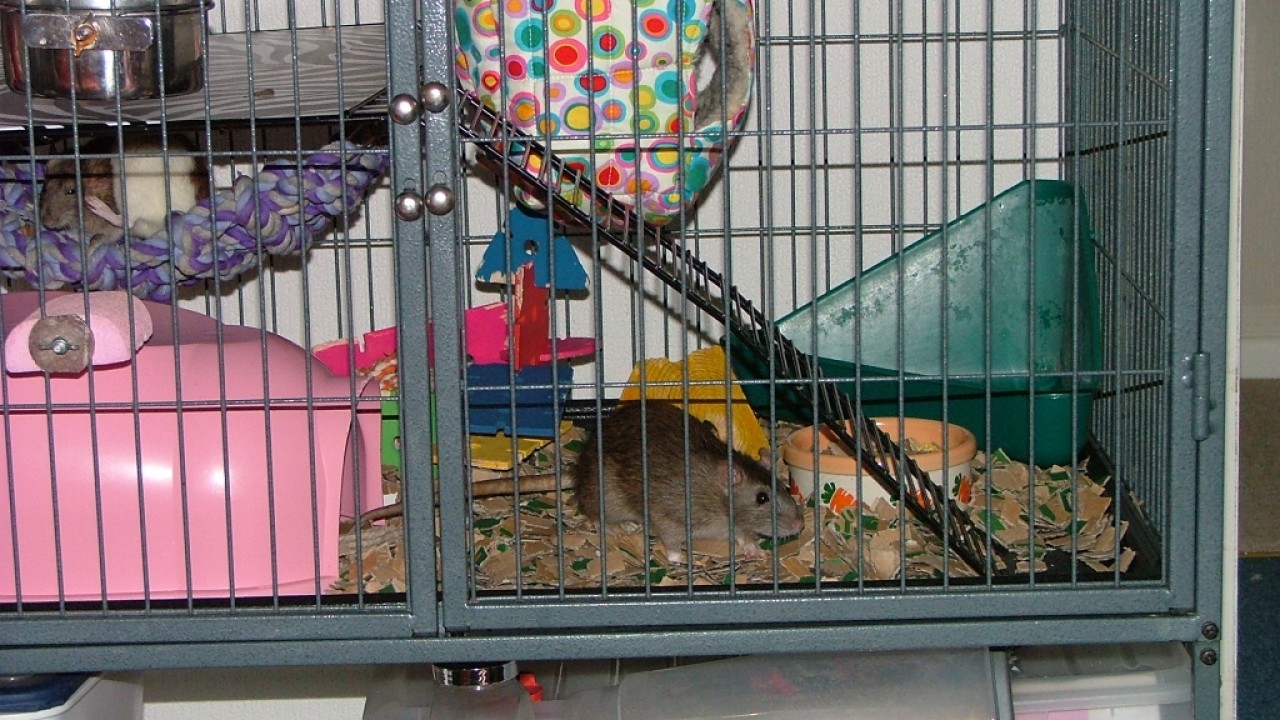 dscf6325.jpg