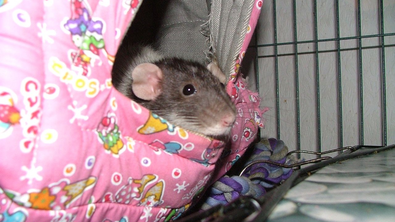 DSCF5699.JPG