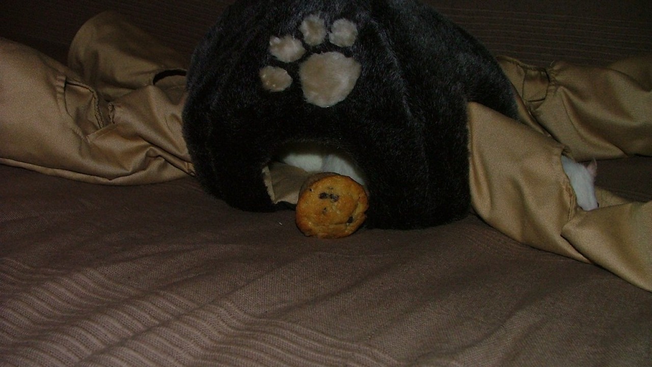 DSCF4727.JPG
