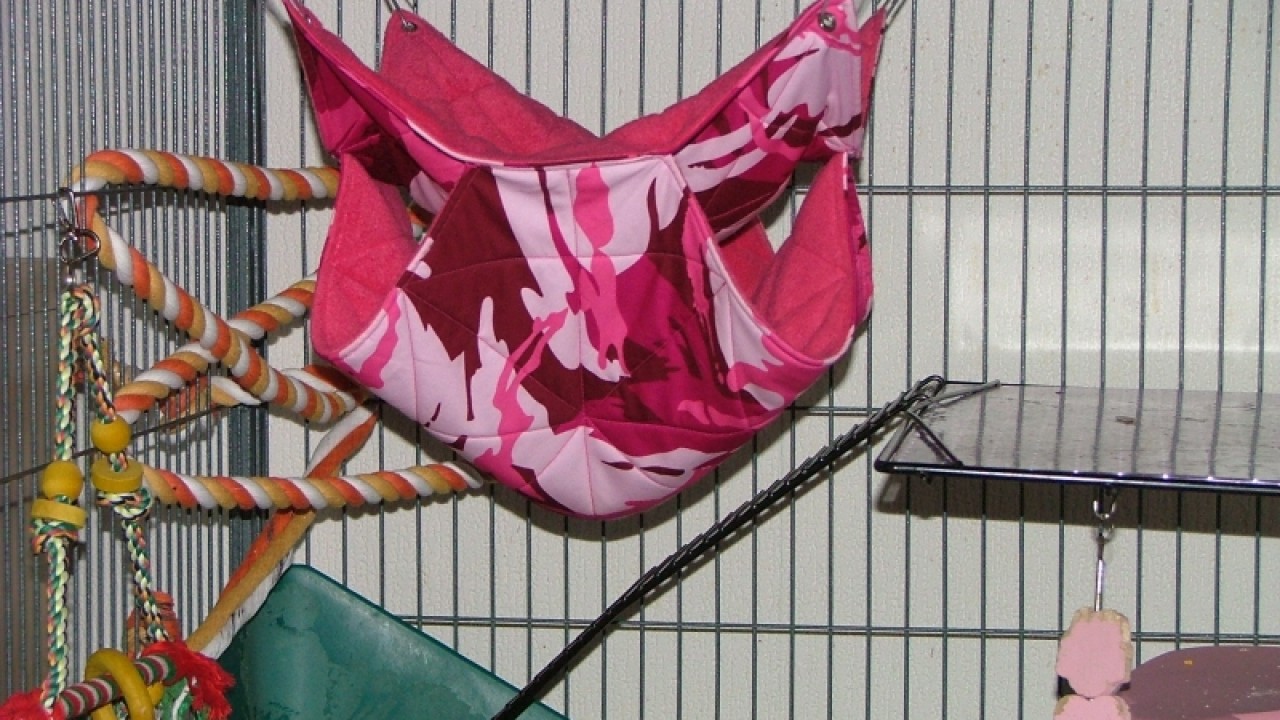 dscf6871.jpg