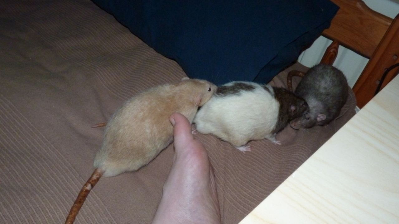 P1000363.JPG