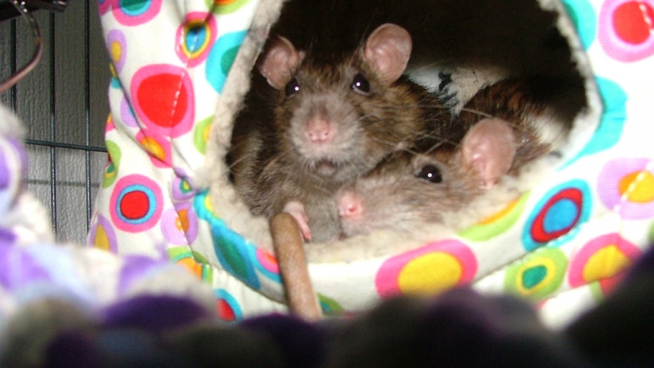 dscf6341.jpg