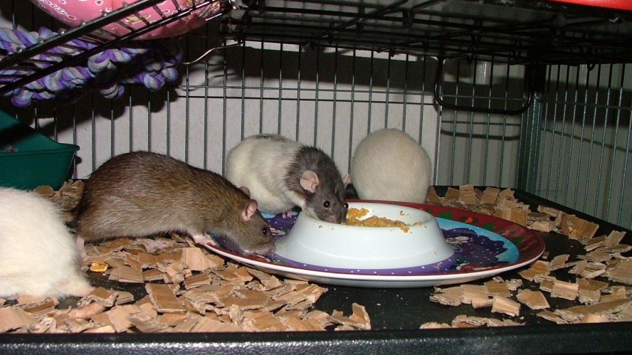 dscf5822.jpg