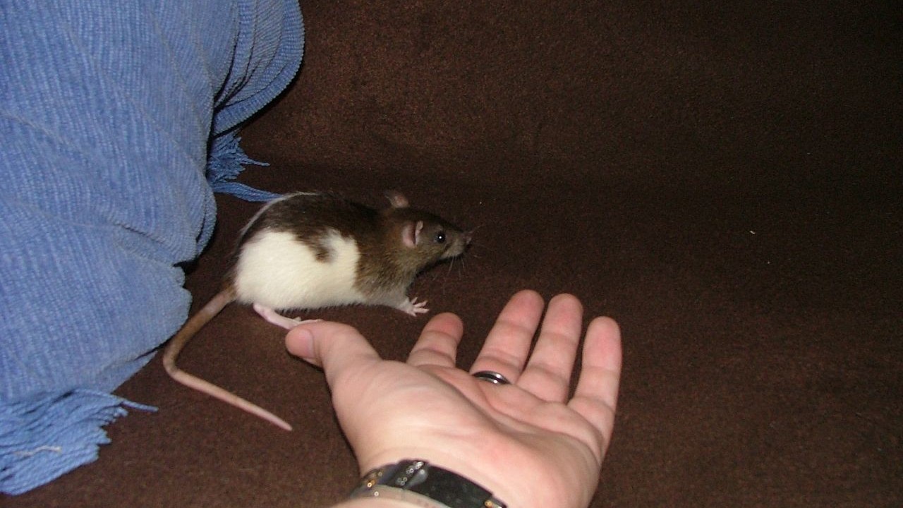 DSCF5474.JPG