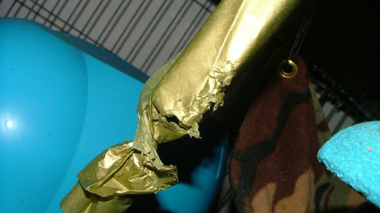 dscf6748.jpg