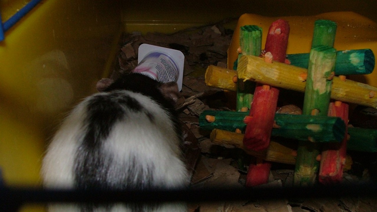 DSCF4263.JPG