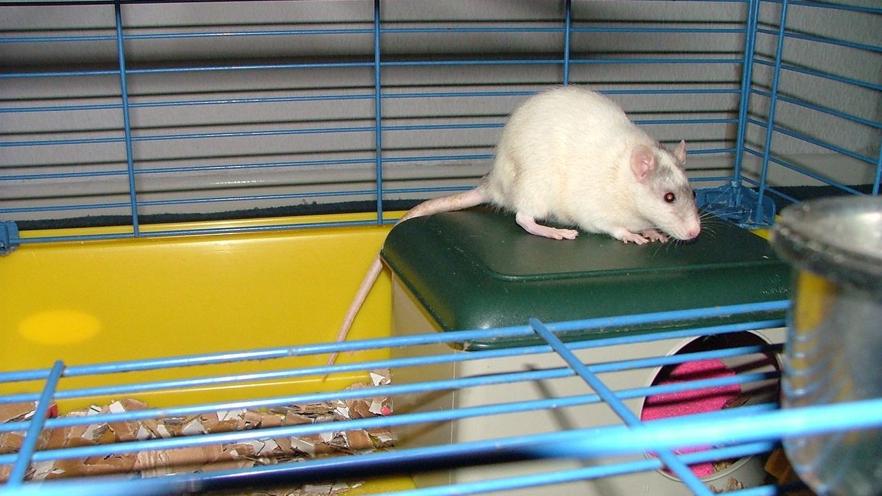 DSCF3893.JPG