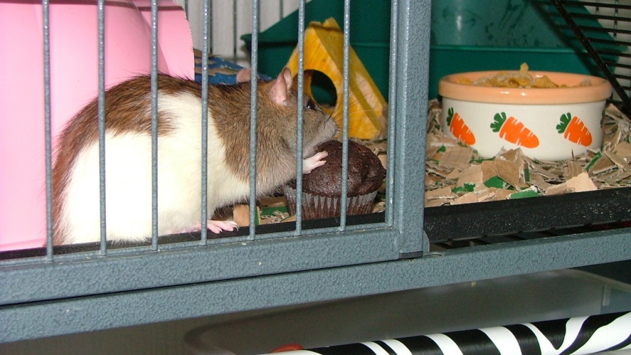 dscf6346.jpg
